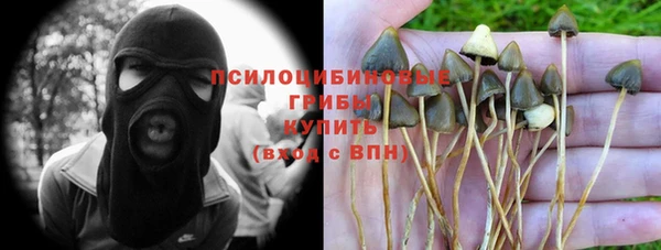 первитин Осташков