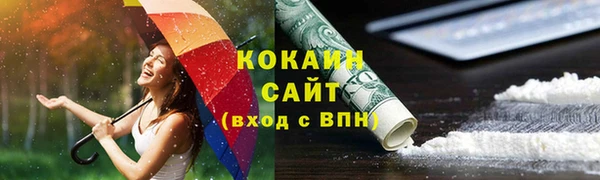 шишки Алексин
