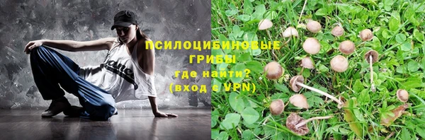 дурь Няндома
