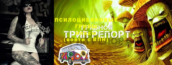 первитин Осташков