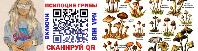 Галлюциногенные грибы MAGIC MUSHROOMS  как найти закладки  kraken рабочий сайт  Арск 
